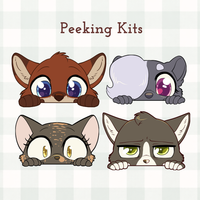 Peeking Sticker Packs